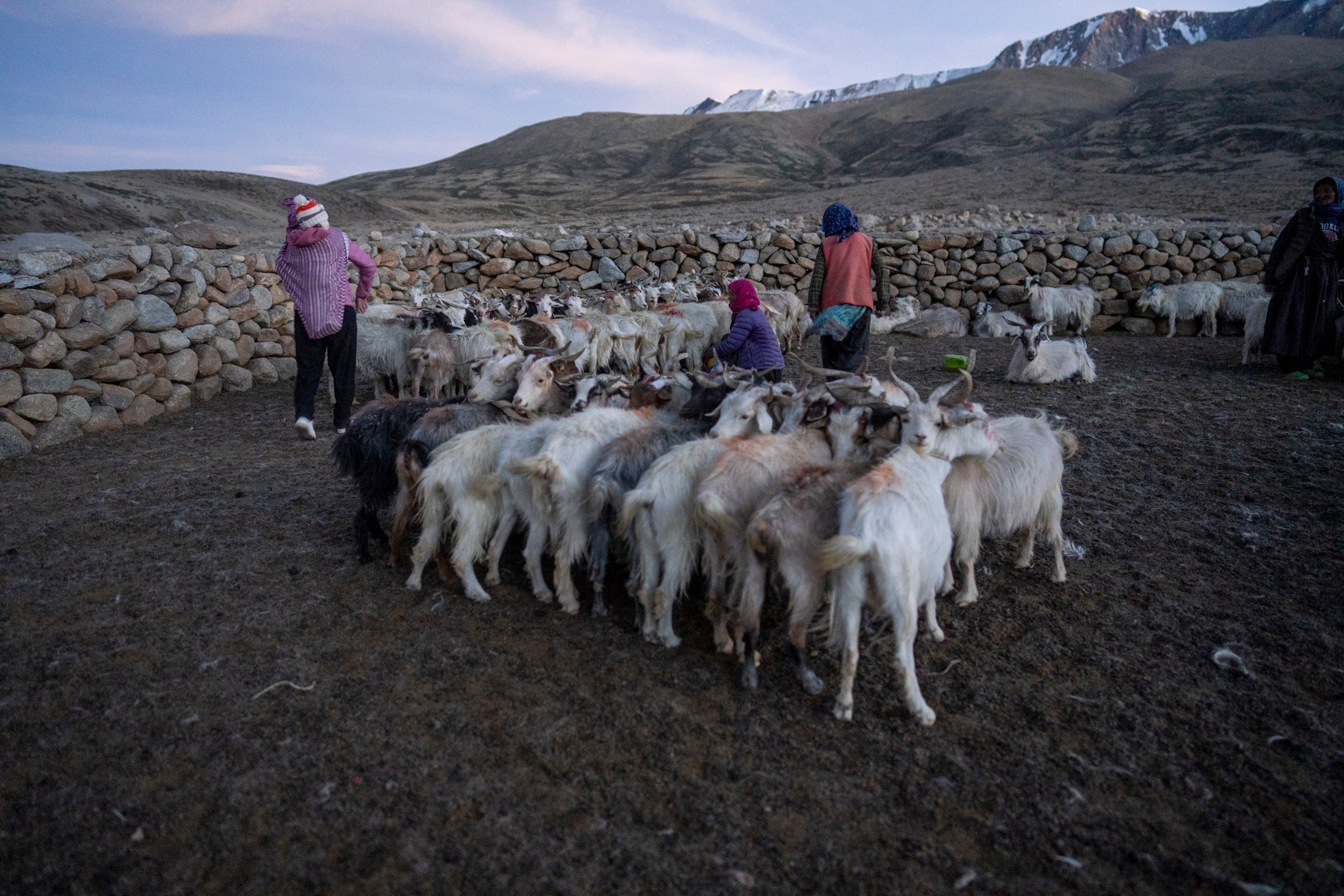 © Simon Villiger, Ladakh