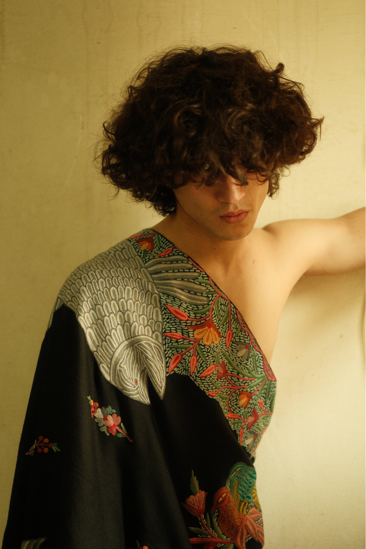 Semi-Pashmina-Schal im Janvar-Palla-Design mit kunstvoller Ari-Stickerei, Modelshoot